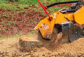 Best Commercial Tree Services  in Silt, CO